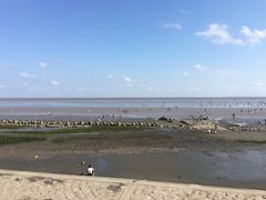 -南汇嘴观海公园