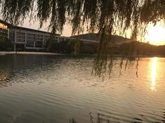 -上海佘山世茂艾美酒店