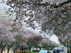 -河南省黄河迎宾馆