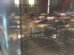 -威尔仕健身·游泳(KING88店)