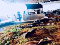 -Seesaw Coffee(朝阳大悦城店)