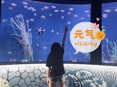 -沈阳海洋探索中心