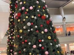 -冰纷万象滑冰场(深圳万象城店)