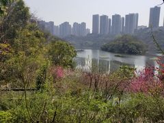 -重庆彩云湖湿地公园