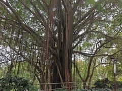 -乌山风景区