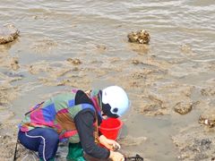 -日照世帆赛基地