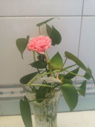 -北京市朝阳区妇幼保健院(南院区)