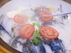 -全乐鱼馆·淳牌有机鱼直营店