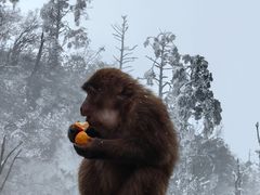 -峨眉山风景名胜区