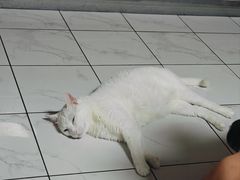 -台州嵌糕(广八路店)