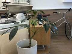 -Onirii Coffee(长乐路店)