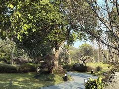 -雅达·阳羡溪山小镇中心