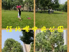 -重庆市江北嘴中央商务区中央公园