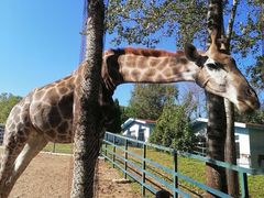 -大连森林动物园