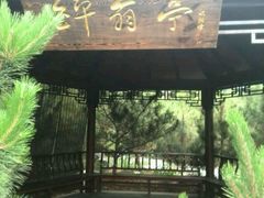 android_upload_pic-东方华地城湿地温泉度假区