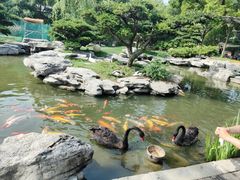 -扬州瘦西湖温泉