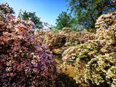 -永定河休闲森林公园