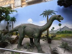 -国家自然博物馆