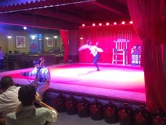 -关东情主题文化演艺餐厅