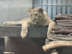 -西安秦岭野生动物园