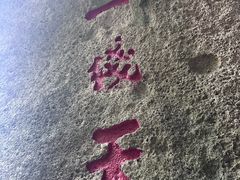 -青芝山风景名胜区