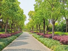 -上海海湾国家森林公园