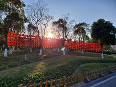 -习家池