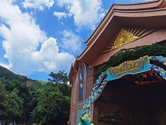 -西双版纳原始森林公园