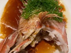 东星斑-金悦轩海鲜城(渔人码头店)