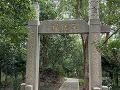 -上海佘山国家森林公园天马山园