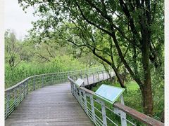 -西湖风景区-江洋畈生态公园