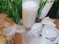 -探窝·竹笙椰子鸡(杨箕店)