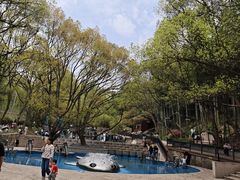 -东明山森林公园