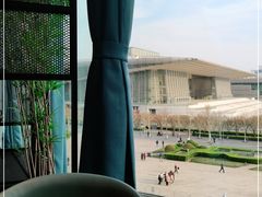 -羲和雅苑•北京烤鸭(乐园道万象城店)