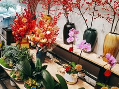 -溪岸路花鸟市场