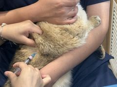 -美迦爱-牙专科·兔科·骨科诊疗中心(北苑店)