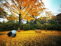 -淮海战役纪念馆