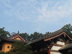 -灵谷景区