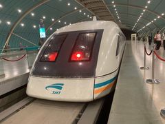 -龙阳路磁悬浮列车总站-停车场