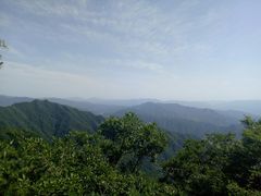 -王顺山国家森林公园