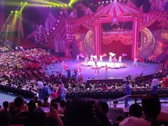 -珠海横琴长隆《卡卡虎奇遇记》