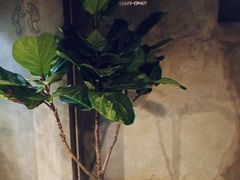 -ADO KAFE(大学城店)