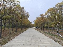 -嘉北郊野公园