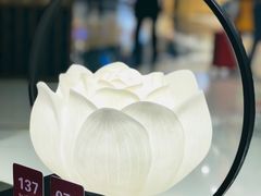 -和府捞面(东直门银座店)