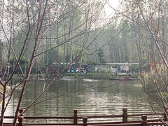 -合肥滨湖国家森林公园