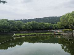 -九龙潭景区