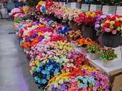 -花鸟鱼虫鲜花绿植市场(玉泉路店)