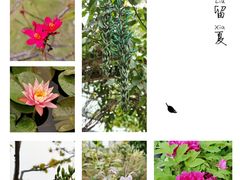 -中国科学院华南植物园