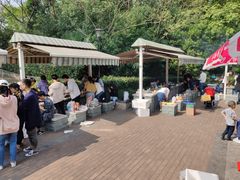 -吴淞炮台湾湿地森林公园烧烤区