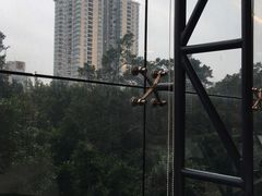 -海宝酒家(中山四路店)